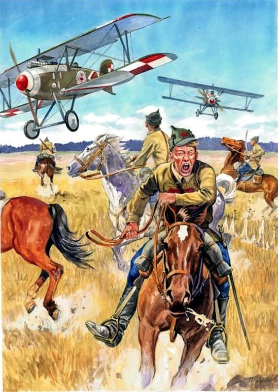 Polishairattacks.jpg