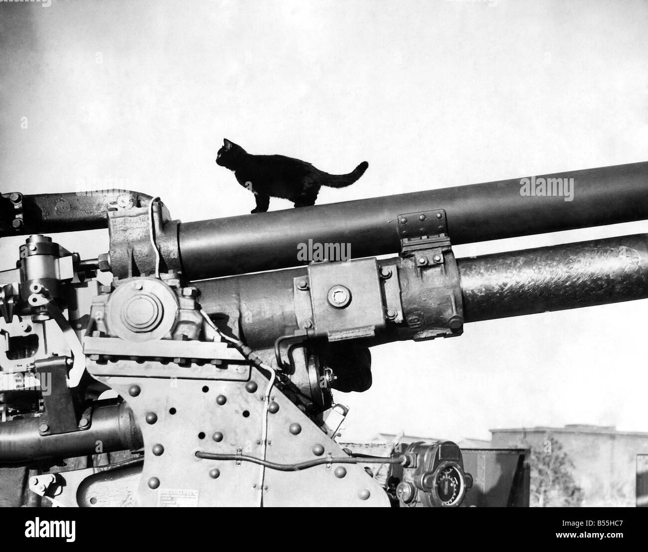 worldwar..yB55HC7.jpg