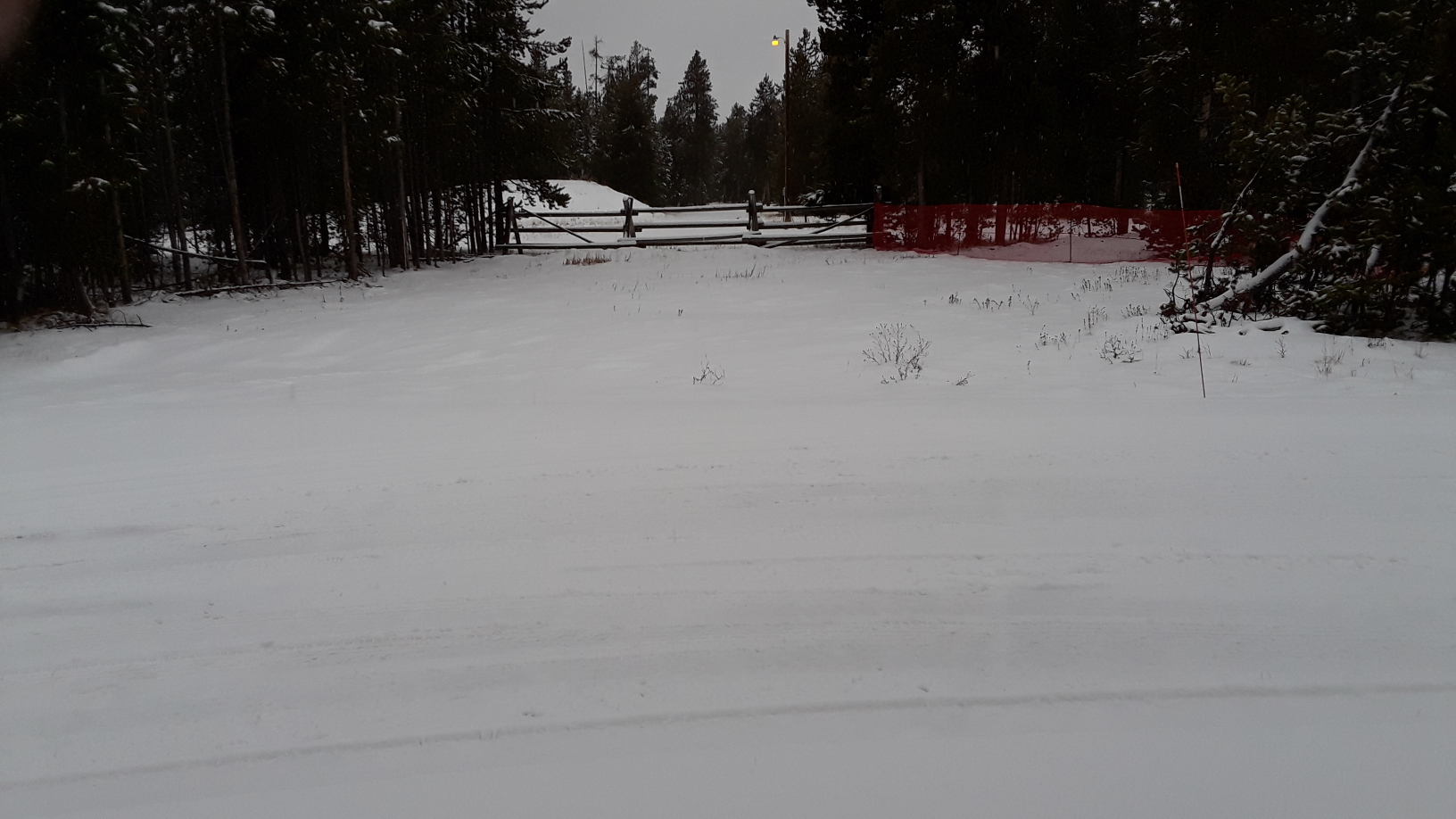 Nov 9 2021 snow.jpg