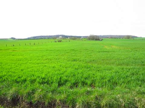 IMG_0475.jpg