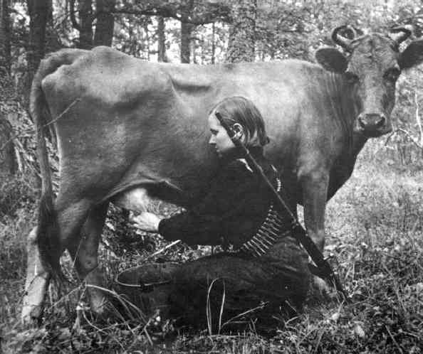 Partizan_cow_milking.jpg
