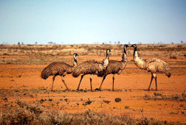 istockphot..612x612.jpg