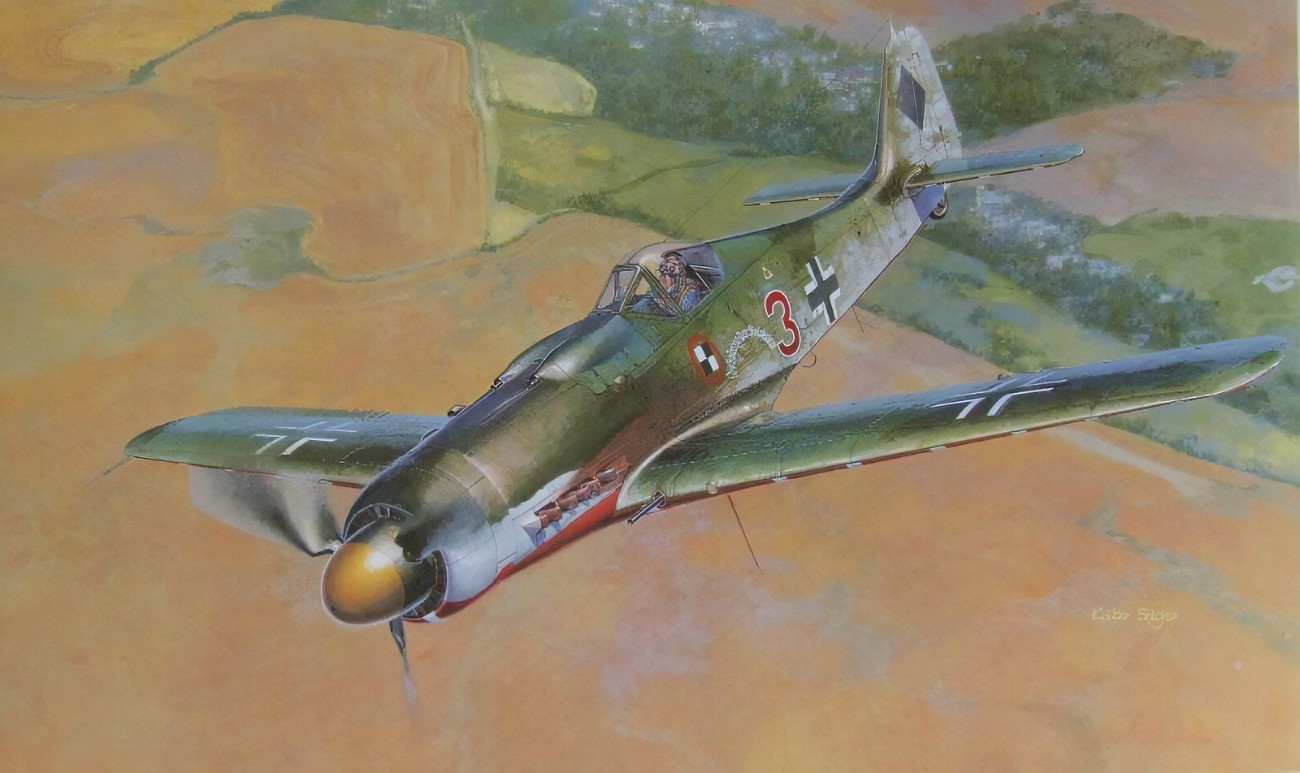 FW190D9.jpg