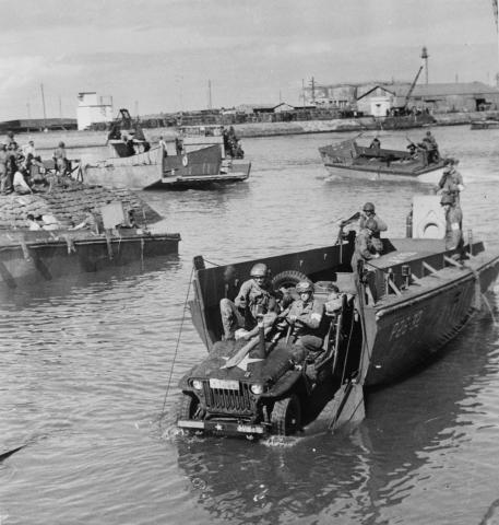 amphib.jpg