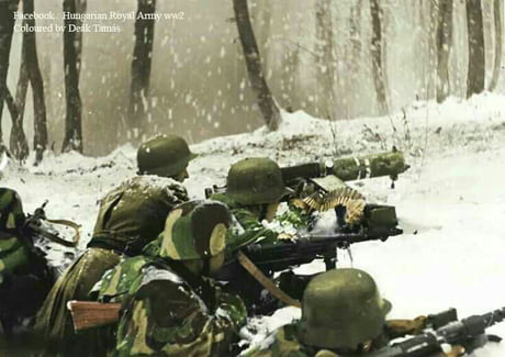 Hungarian.jpg