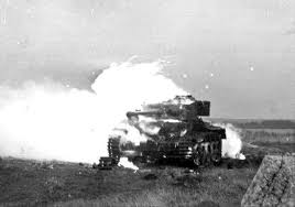tigerfire.jpg