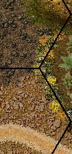 Desert Cactus Hedge.jpg