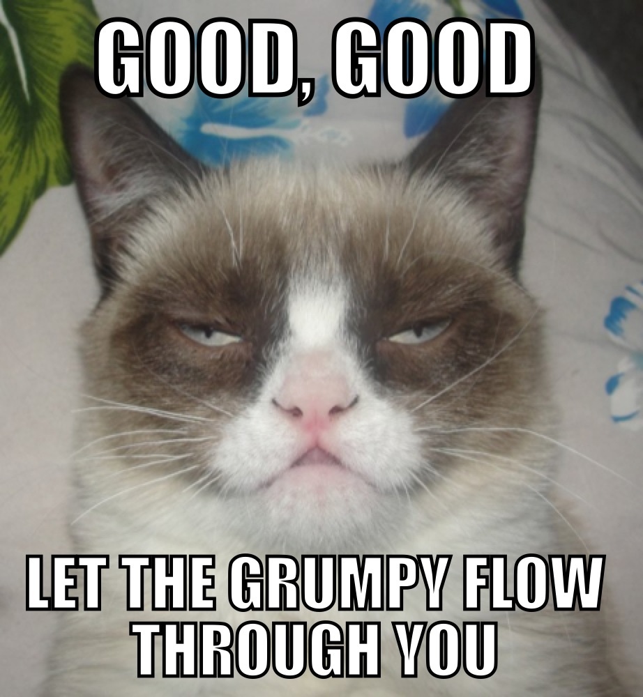 cat grumpiness.jpg