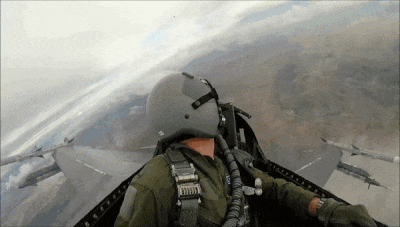 furball POV.gif