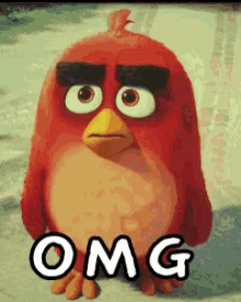 OMG angry bird.gif