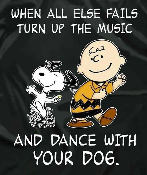 when all else fails  turn up the music and dance with your dog.jpg