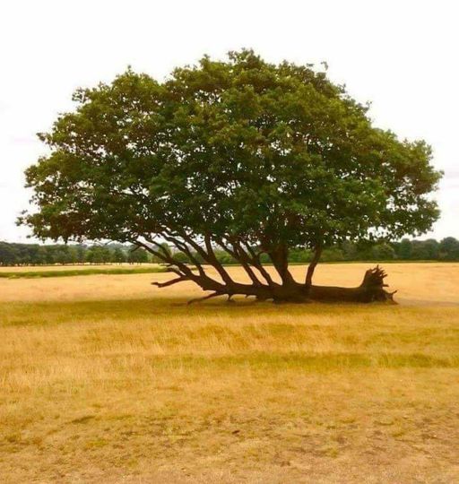 He fell a long time ago, but he never gave up.jpg