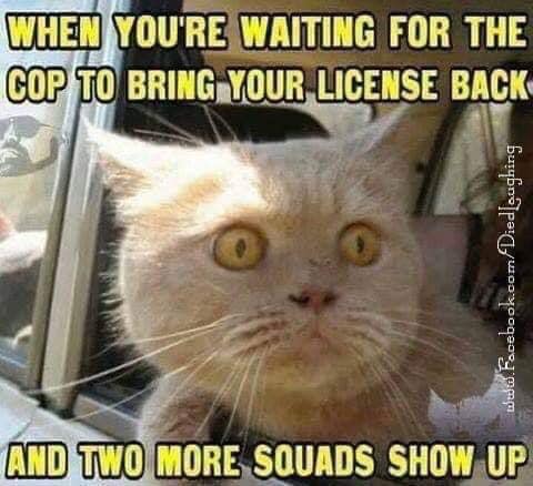 when yourewaiting for the cop to bring your license back and two more squads show up.jpg