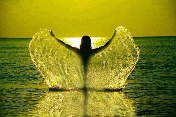 Water wings, what an angel.jpg
