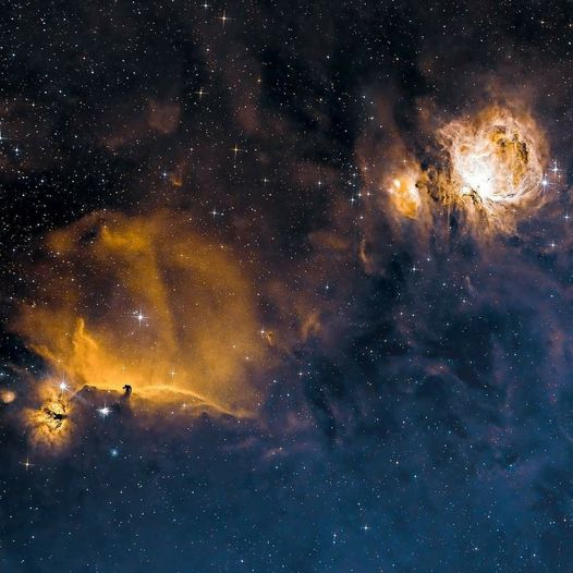 The Orion Nebula and The Horsehead Nebula.jpg