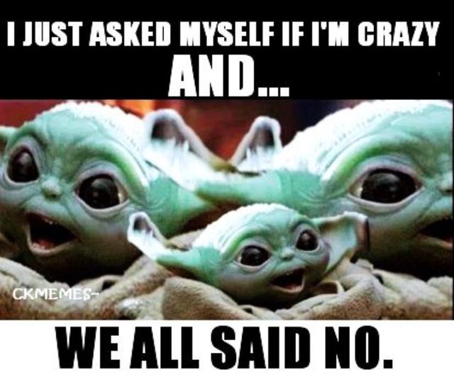 i asked myself if i was crazy and we all said no.jpg