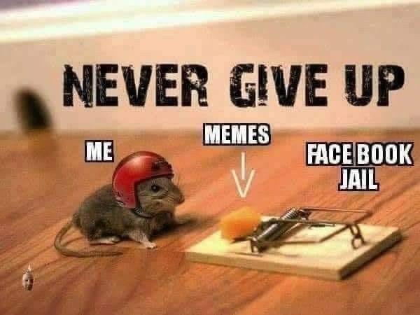 never give up  memes  fb  jail.jpg