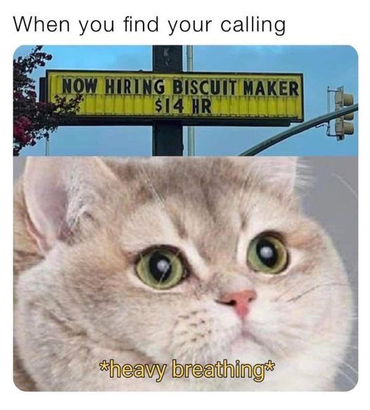 when you find your calling.jpg