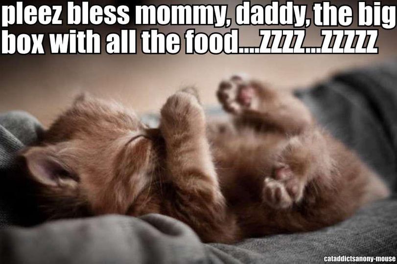 pleez bless mommy, daddy, the big box of food.jpg