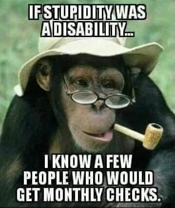 if stupid was a disability   i know a few who would get monthly checks.jpg