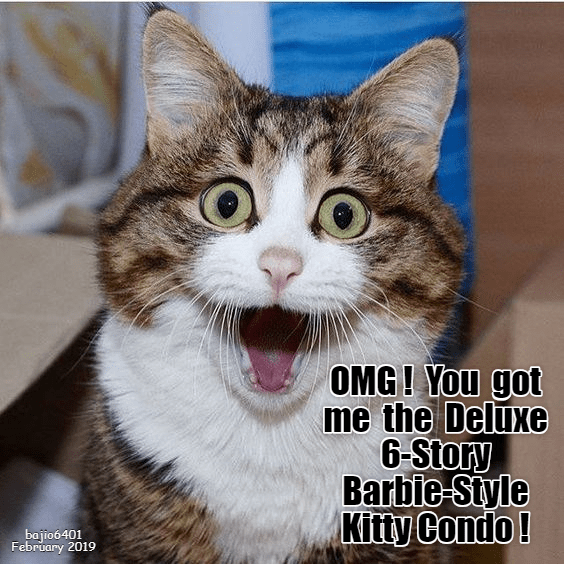 omg   you got me the deluxe 6 story barbie style kitty condo.png