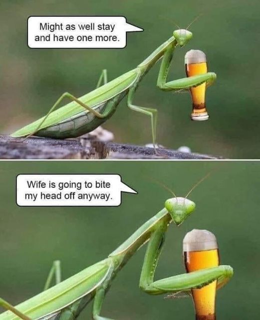 might as well stay and have one more   wife is going to bite my head of anyway.jpg