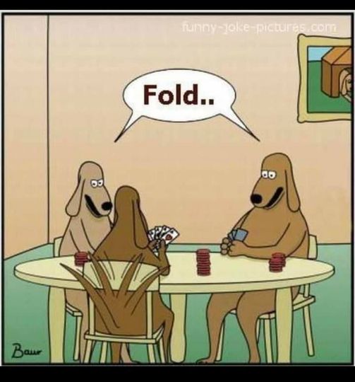 fold.jpg