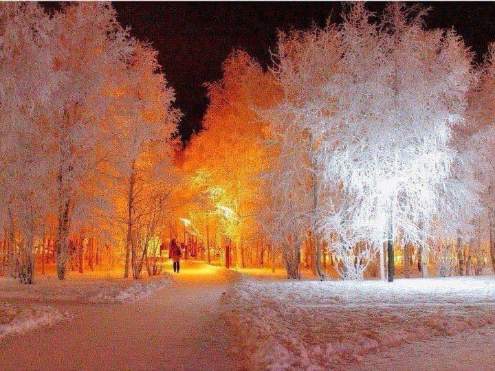 winter wonderland.jpg