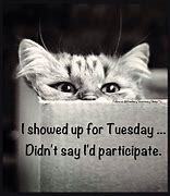I showed up for Tuesday didnt say id participate.jpeg