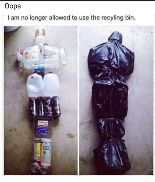 im no longer allowed to use the recycling bin.jpg