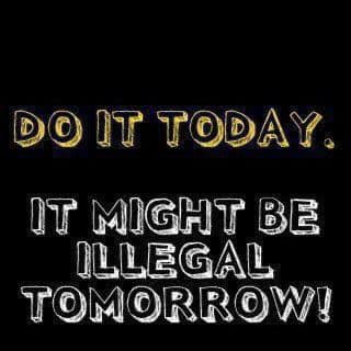 do it today   it might be illegal tomorrow.jpg
