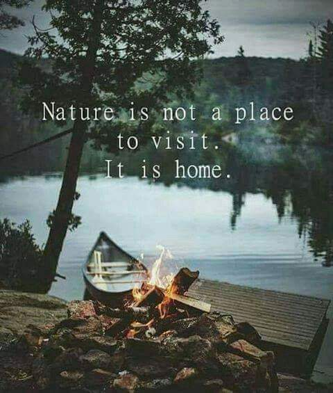 nature is not a place to visit  it is home.png
