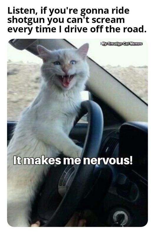 if your gonna drive shotgun  you cant scream every time i drive off the road    it makes me nervous.jpg