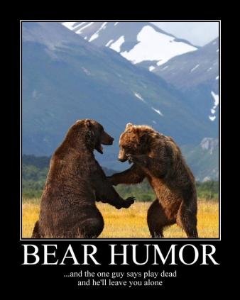 bear humor.jpg