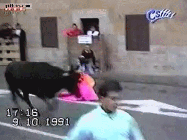 bull collision.gif
