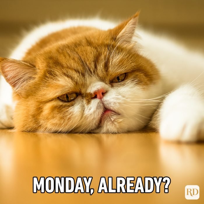 monday  already.jpg