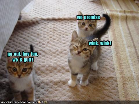 you go out  have fun   we promise  wink wink.jpg