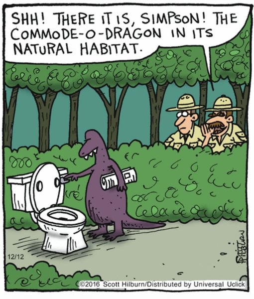 comodo dragon in its natural habitat.jpg