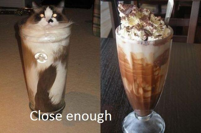 close enough.jpg