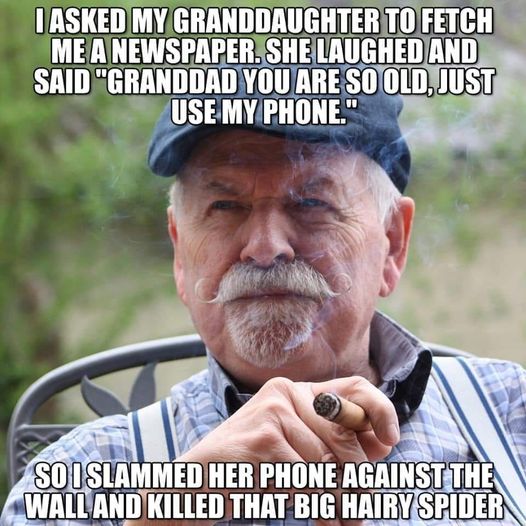 granddaughters phone used to kill a spider.jpg