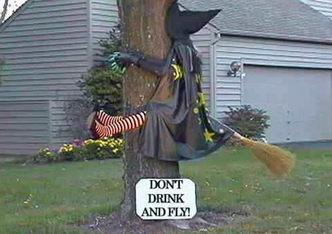 humor alert   dont drink and fly.jpg
