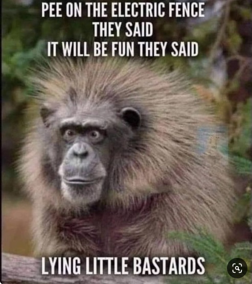 pee on the electric fence.jpg
