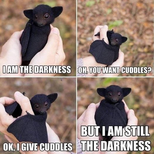 i am the darkness   but i give cuddles.jpg