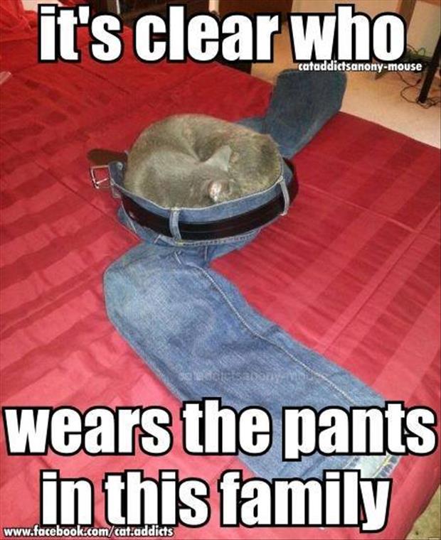 Its-Clear-Who-Wears-The-Pants-InThis-Family-Funny-Meme-Image.jpg