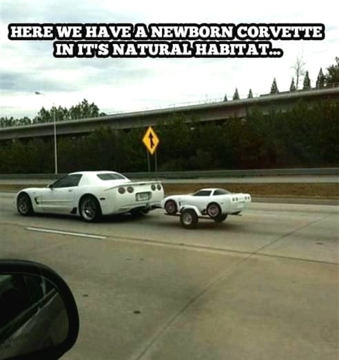 newborn corvette.jpg