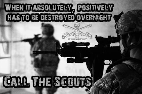 when it absolutely positively has to be destroyed overnight   call the scouts.jpg