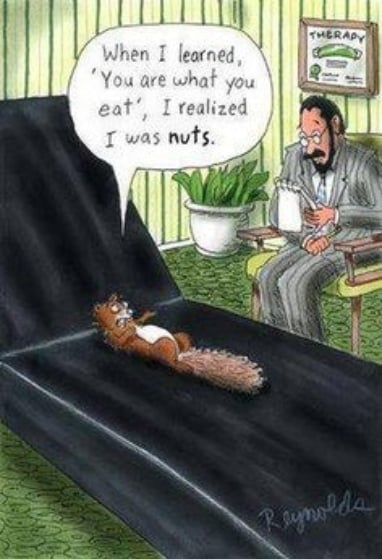 squirrel   when i learned that you are what you eat  i realized that i was nuts.jpg