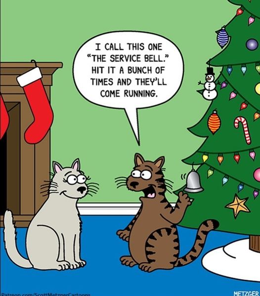 cat  service bell on a christmas tree.jpg