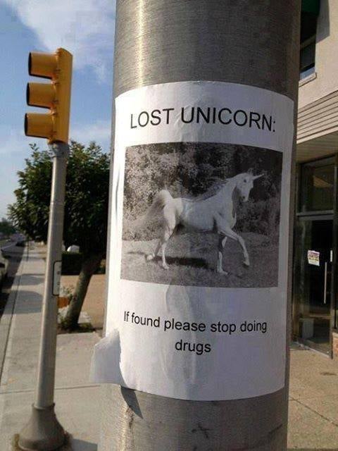 Lost unicorn  if found  please stop doing drugs.jpg