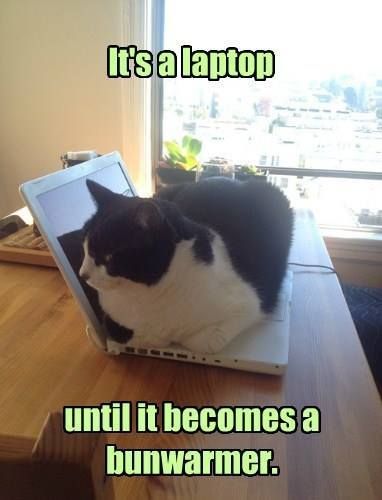 its a laptop until it becomes a bun warmer.jpg